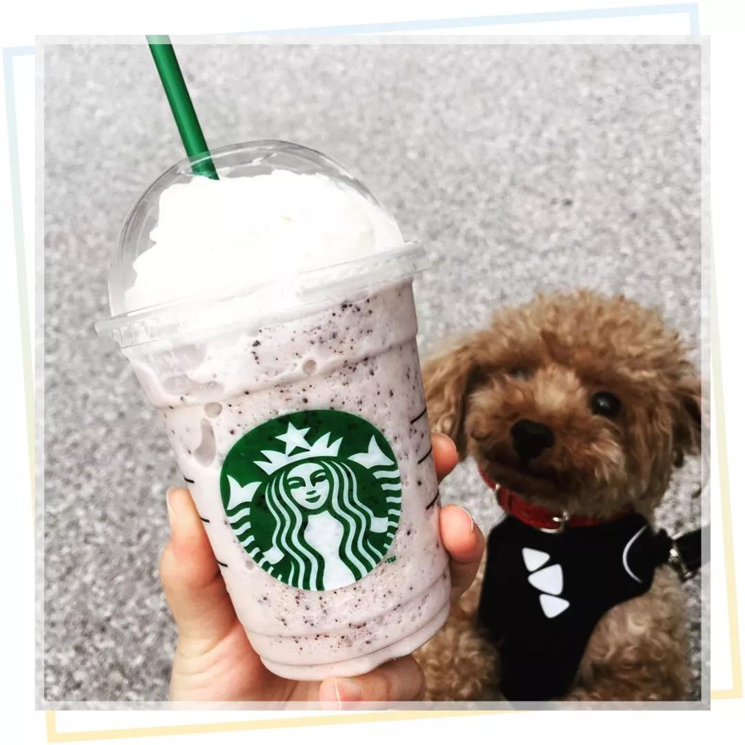 好喝不胖的网红奶茶来了,高颜值网红奶茶