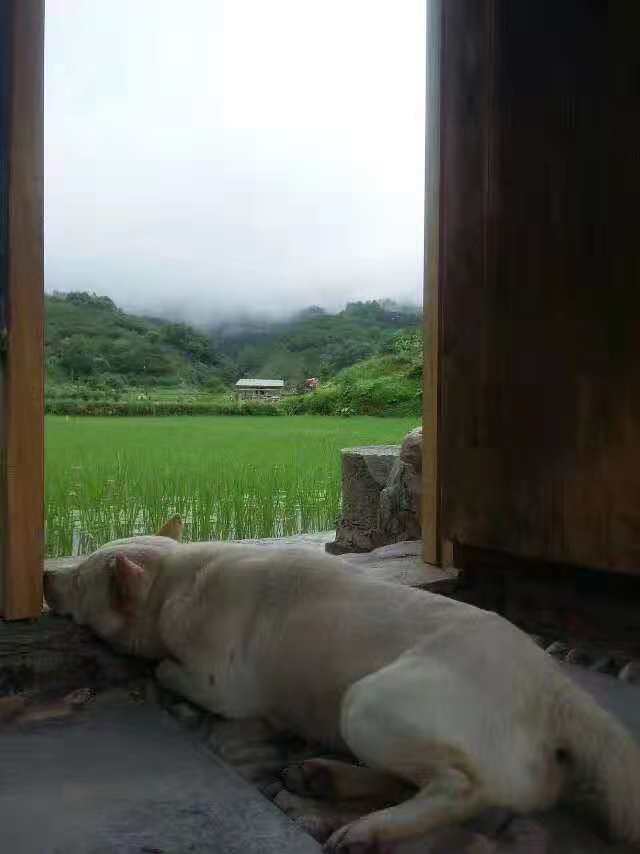 二哥苦命的真实生活,二哥的人生观