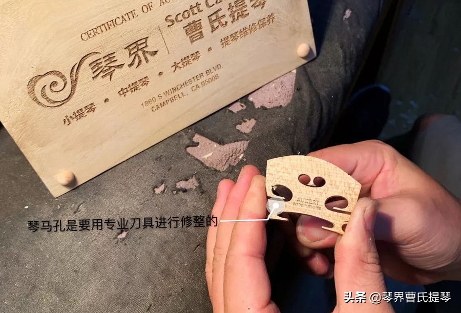 干货来了音频,干货来了单音加和弦练习追梦人