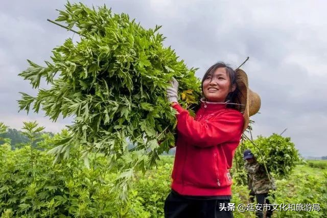 鏁伴娴佷汉鐗╃湅浠婃湞绱犳潗,鏁伴娴佷汉鐗╃湅鍘嗗彶娌夋诞