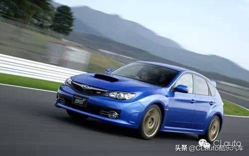 ​近乎残疾，不忍直视|流浪豹STI收养记Vol.01