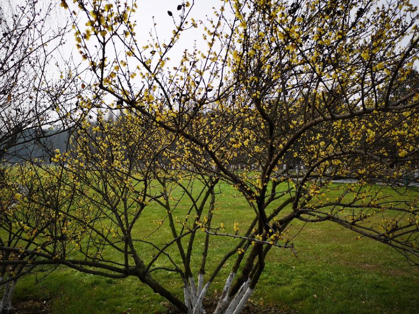 宜兴竹海游和龙背山森林公园游记