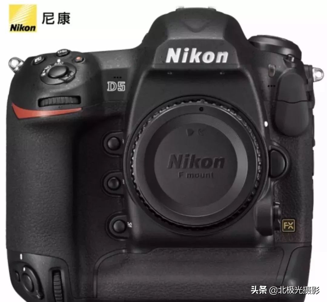 拍摄鸟类照片技巧,拍摄鸟儿照片技巧