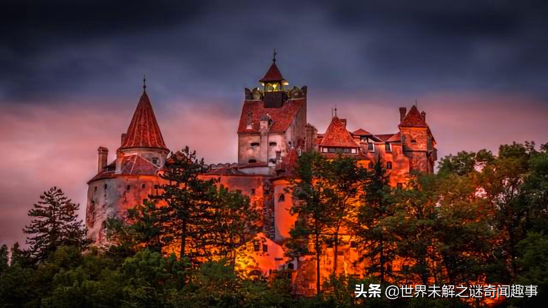 为何霍亚森林没人敢进？女孩无意闯入消失5年，称里面有时空之门