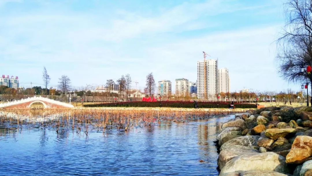 忘了ta吧原版视频,忘了ta吧