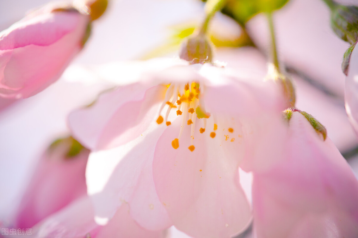 遇到精明婆婆媳妇应该怎么做,不懂人情世故的婆婆怎么相处