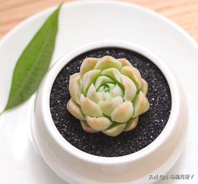 动物成语大集锦，和孩子们来场动物成语飞花令