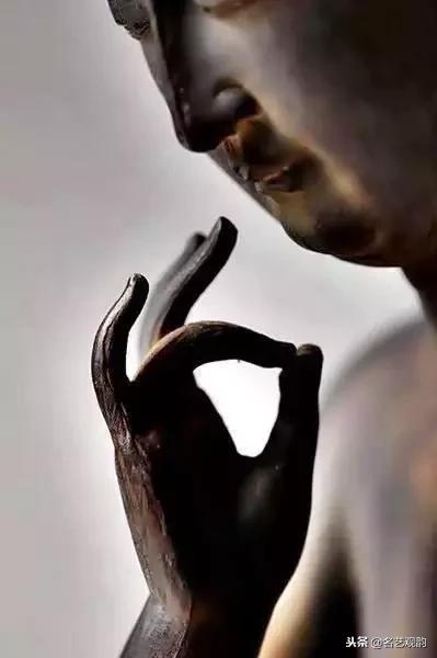 欣赏世间之美,欣赏之美