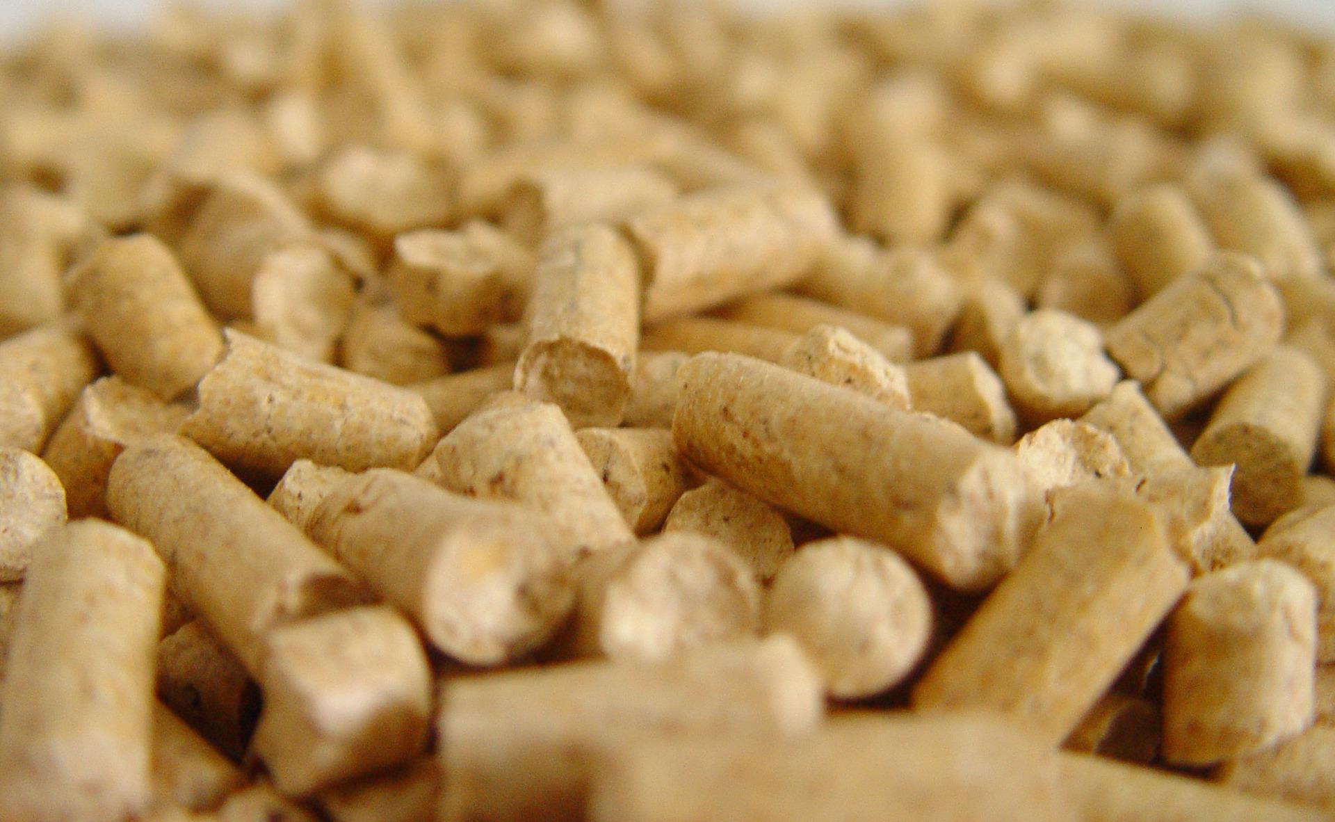 猫咪吃猫砂怎么办,猫咪吃猫砂了怎么办纠正