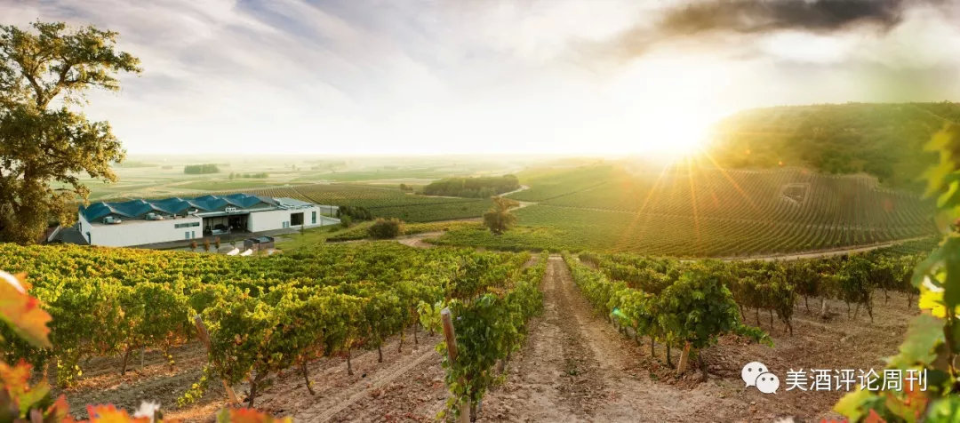 最贵、最知名、最超值、最具潜力！充满「最」的超级话题性产区