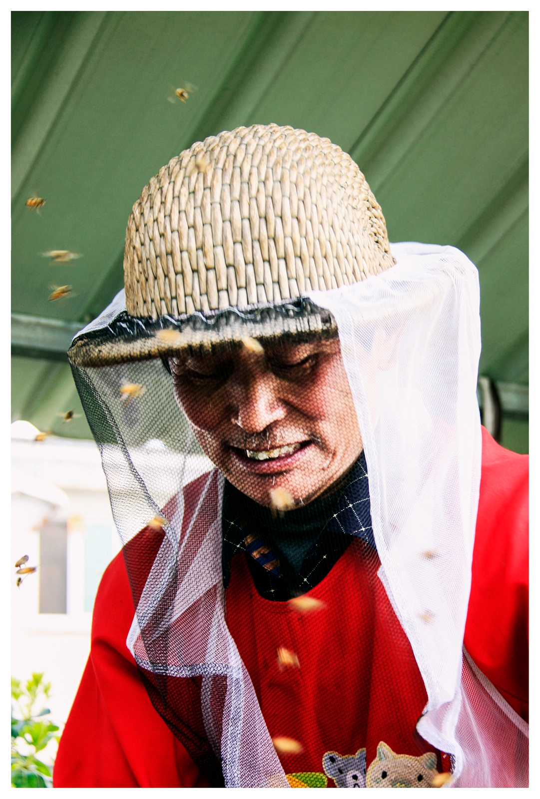 海安市曲塘,江苏海安市曲塘