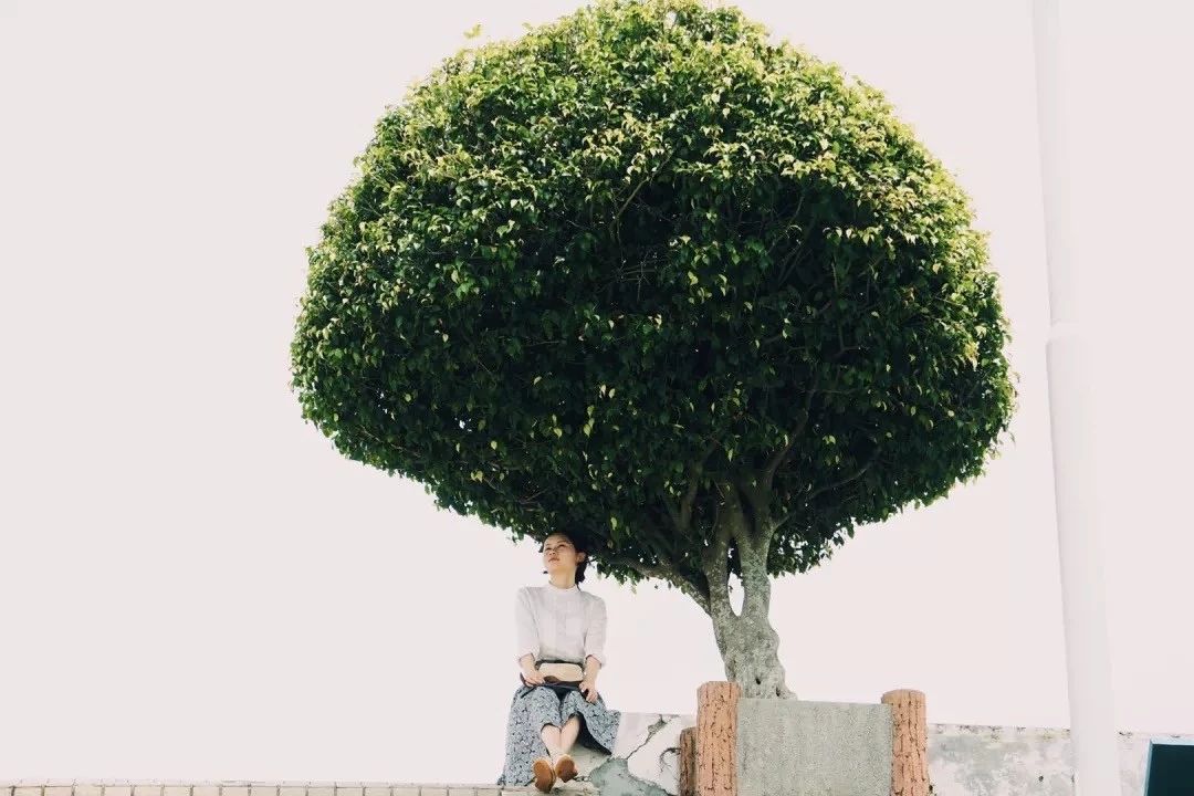 深圳游玩合集,深圳世界之窗游玩攻略必玩项目