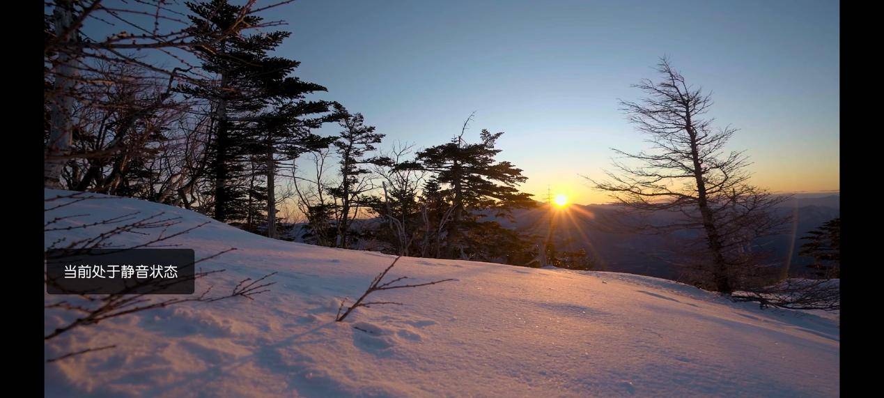 一加手机纪念,一加手机的重大成就