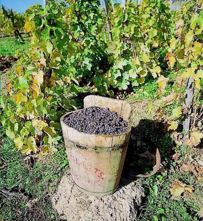 1978年的罗曼尼康帝葡萄酒,罗曼尼康帝干红葡萄酒2007