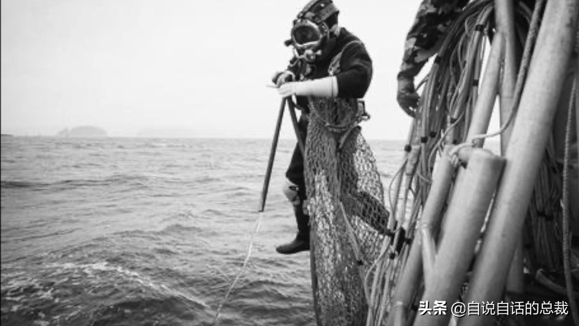 海鲜蛤蜊与蛤蜊区分,蛏子与小人蚬的区别