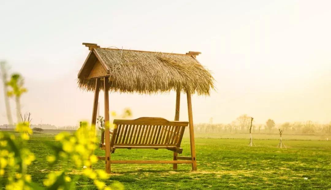 二十四史经典8句最好背下来,人民日报二十四史最经典三十句话