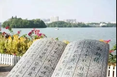 广东5a级景区免费开放,广东省5a级风景区有多少个