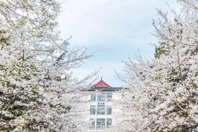 南京9所高校公布综合评价简章,南京综合评价