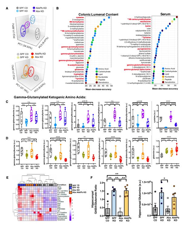 利用宿主分泌的粘蛋白“为食”的Akk菌
