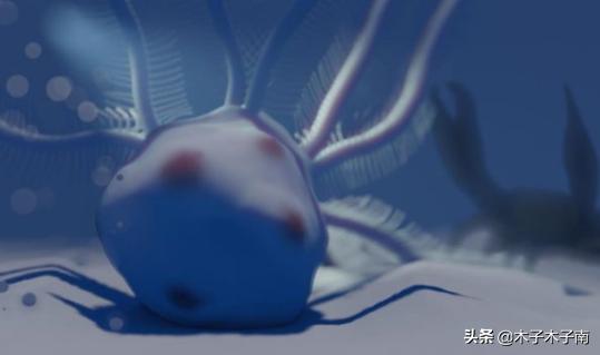 四千万年前海里动物,史前生物海百合