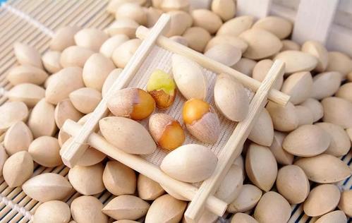 中药银杏仁的功效与作用,中药银杏叶功效与作用