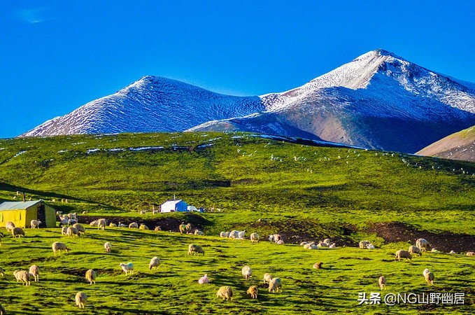肺炎恢复期能出去旅游吗,肺炎痊愈几天可以外出旅行