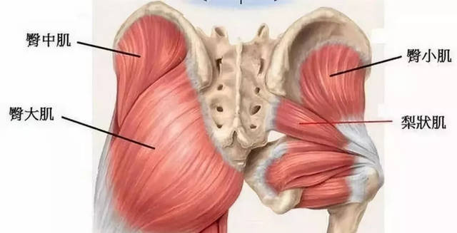 钱包越厚，屁股越痛？这是真的吗？！