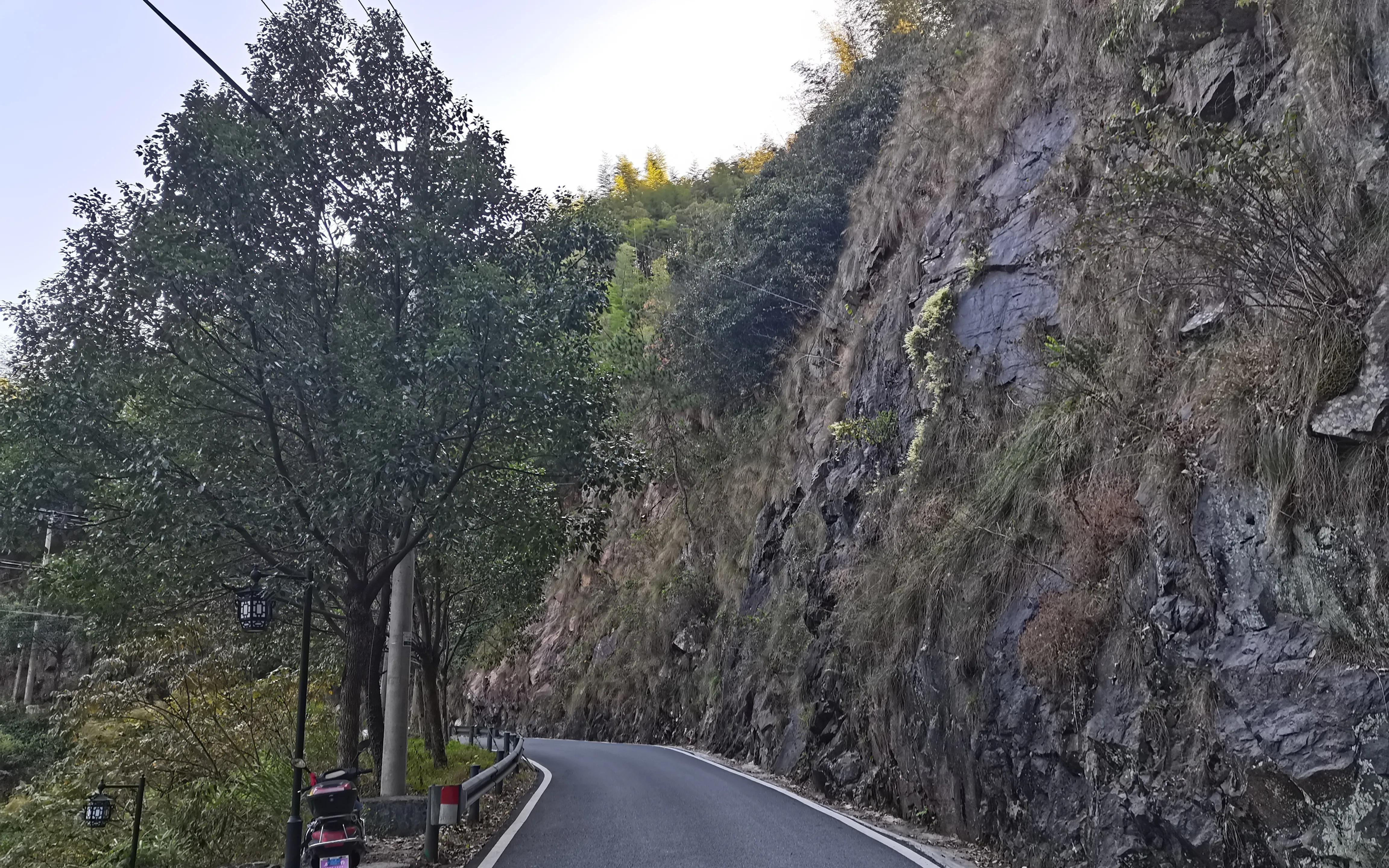 散文渔歌,散文写鸟的作文