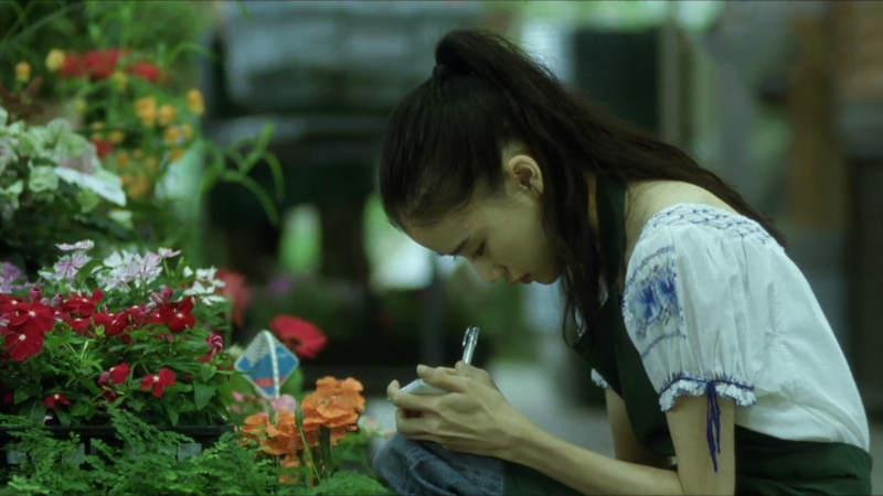 百万元与苦虫女电影在线观看,百万元与苦虫女电影