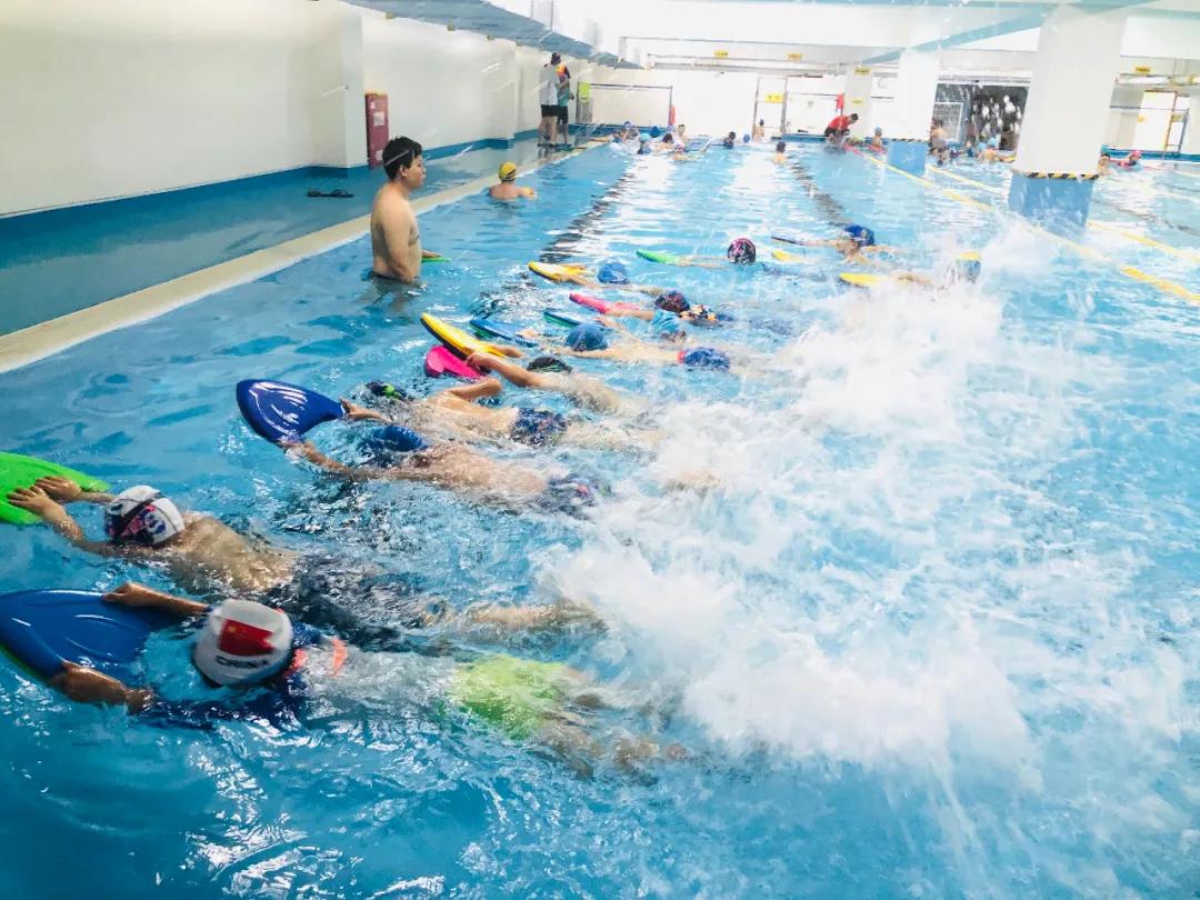 金陵小学和南师附小哪个好一些,金陵小学仙林湖校区一学期学费