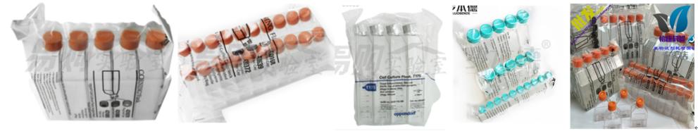 名不见经传的塑料贴牌工厂，风生水起的生物实验室耗材