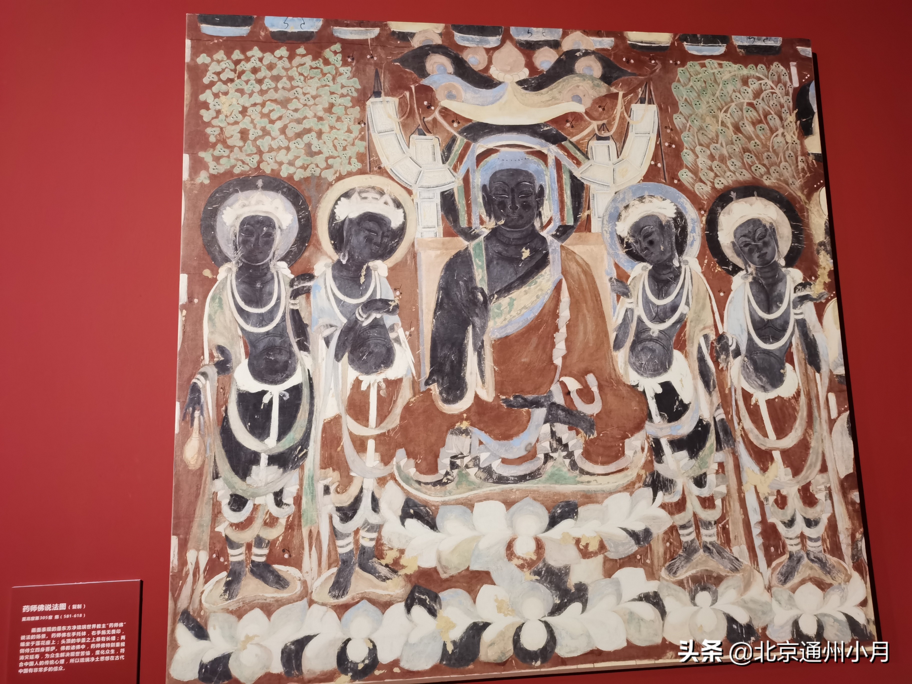 北京适合遛娃的公园,北京户外遛娃好去处冬天