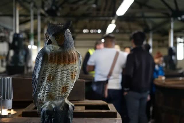 威士忌乐加维林,乐加维林威士忌怎么喝