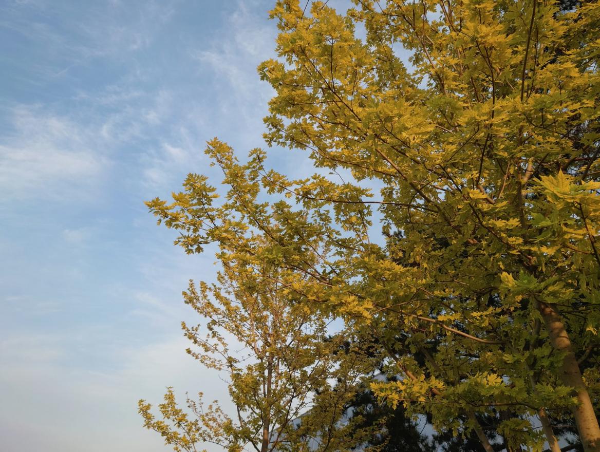 索尼xperia1有全新的吗,索尼xperia1三代有哪些新卖点