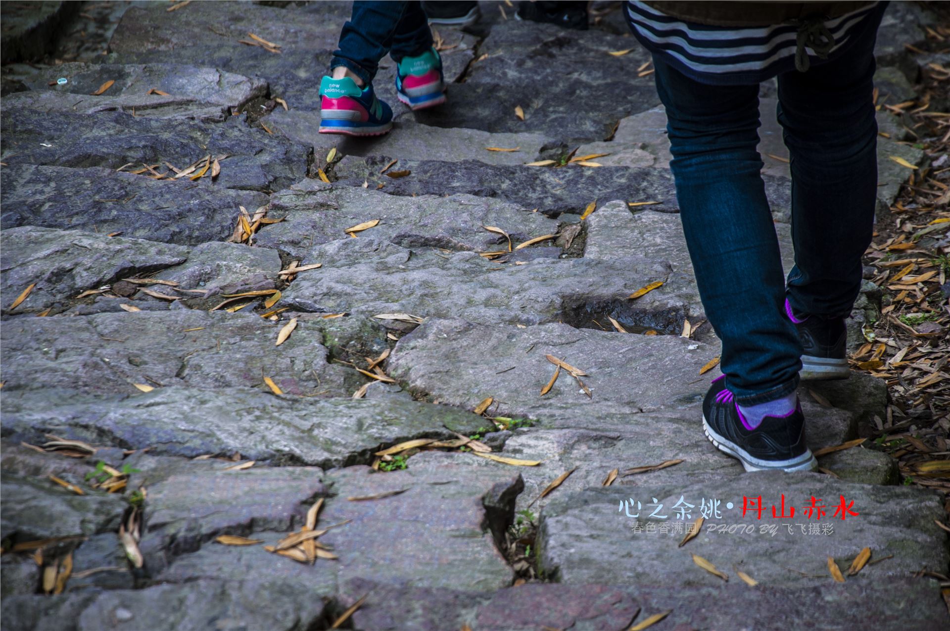 丹山赤水的老柿林景区,丹山赤水柿林古村