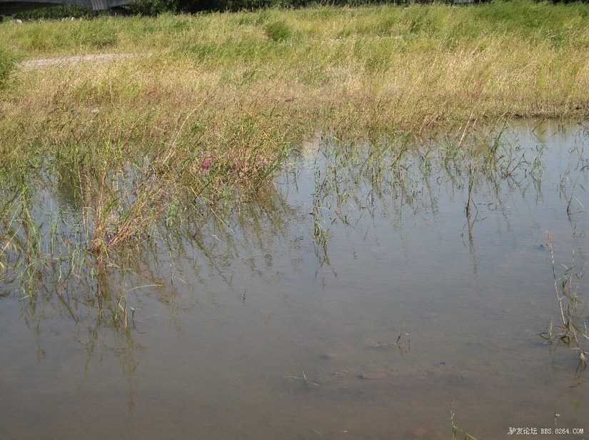 遨游仕溯溪鞋和徒步鞋买一样大吗,遨游仕溯溪鞋