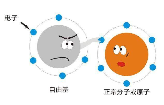 22岁护肤品推荐补水抗老,22岁油痘肌初抗老护肤品推荐