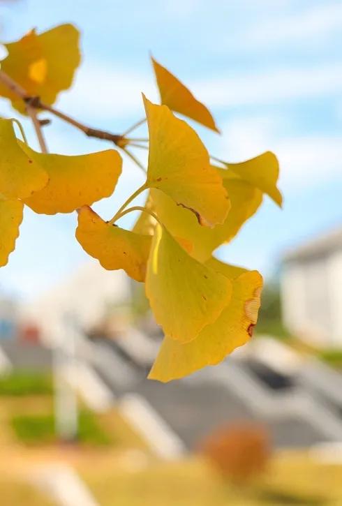 潍坊理工学院值得去吗,点评潍坊理工学院