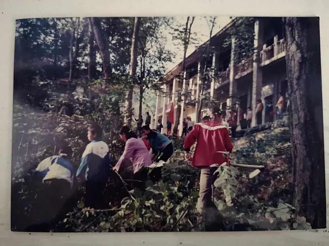 桐中120周年校庆贺信,贺信桐中120周年校庆