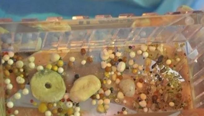 舍利子真的只有得道高僧才有吗,高僧留下的舍利子到底是什么