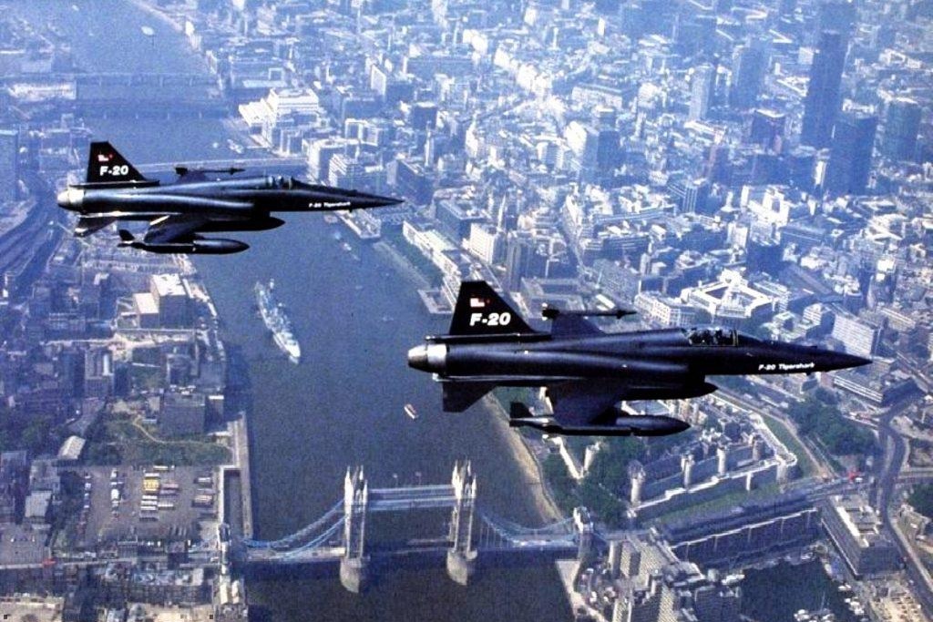 极富悲剧色彩的虎鲸,虎鲨悲剧