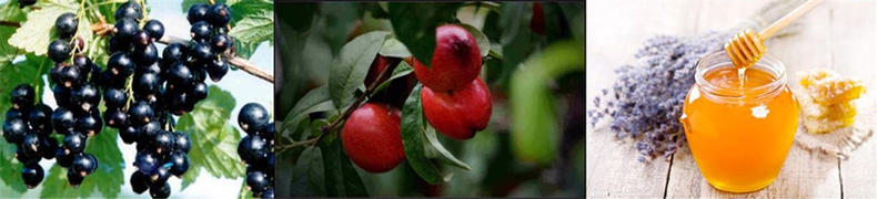 六款小众香水让你闻起来特别贵,五款好闻炸裂的香水