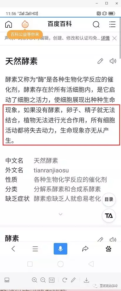 母猫不生怎样催产,母猫不生如何催产