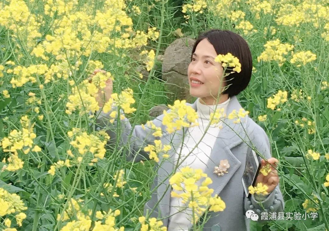 陈彬老师视频,身边的好老师优秀小学校长