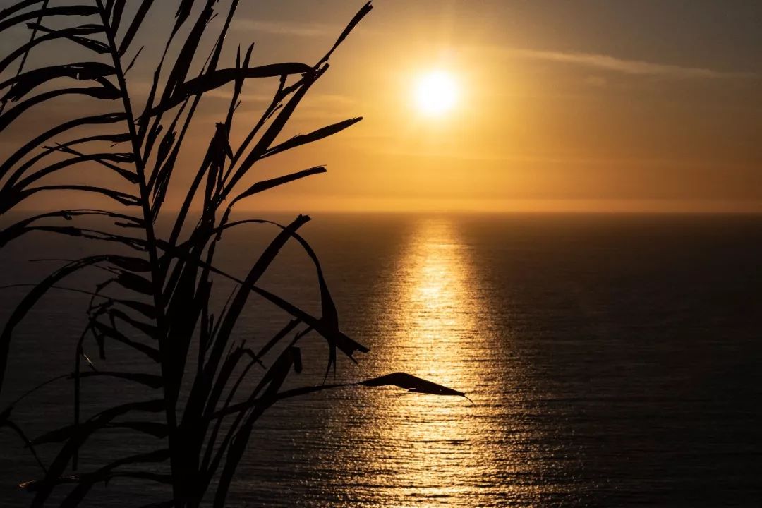 像兔子一样的女生是什么样的,像兔子一样的女孩儿