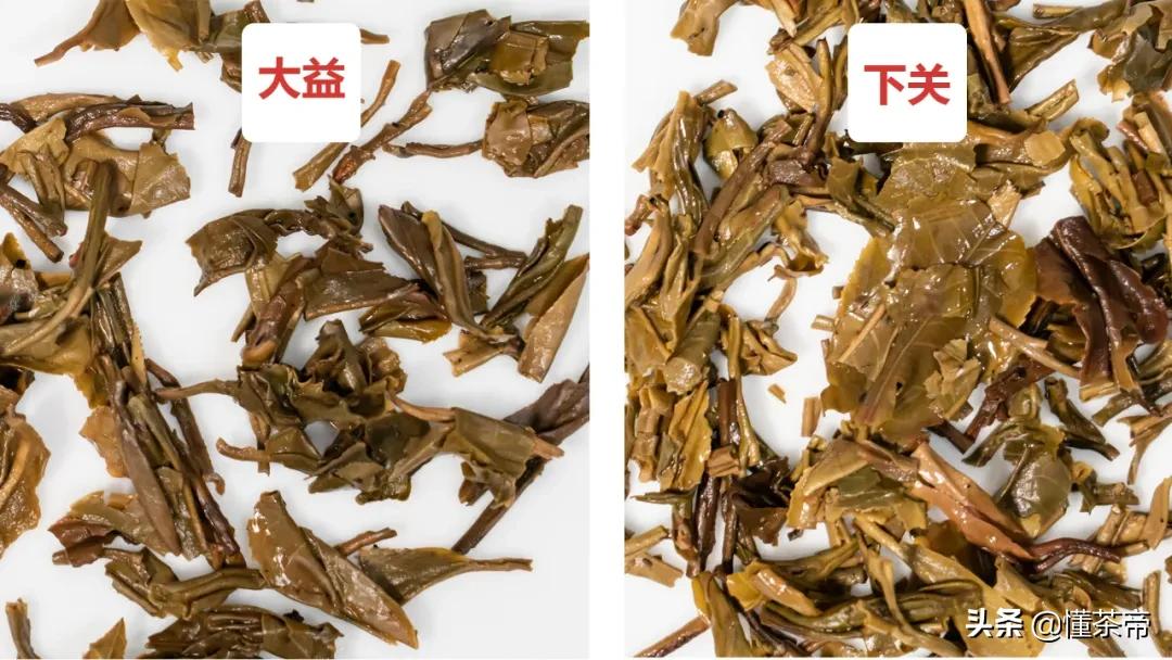 下关沱茶和大益哪个好,沱茶好还是茶饼好喝