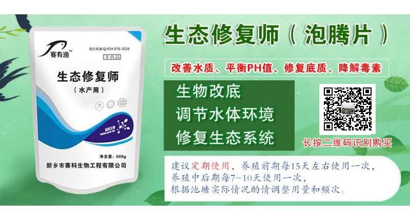 国家公认的泡腾片,生态修复师视频