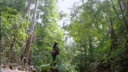 全世界最美的高速公路,世界公认的5个绝美公路