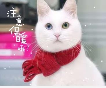 股骨头坏死患者应谨守的三大法则,左股骨头囊性变平时怎么保养