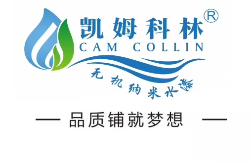 秀外慧中霞之大者东莞市鑫彪实业投资有限公司总经理程秀霞